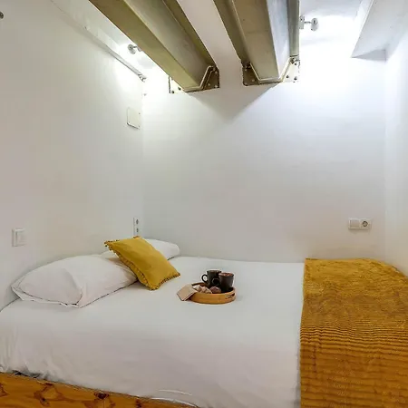 2537 - Ab Sant Antoni *