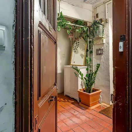 2537 - Ab Sant Antoni *